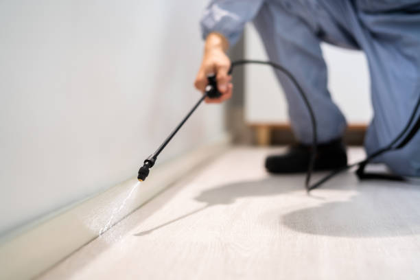 Licensed Termite Control service in Madison Center, CT - Nex Pest Control