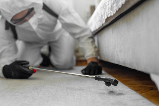 Professional Termite Control technician working in Madison Center, CT