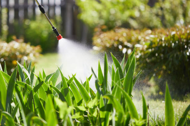 24/7 Emergency Termite Control experts in Madison Center, CT