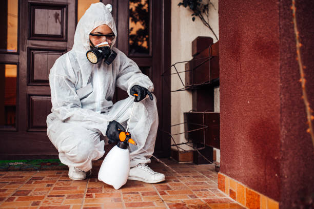 Reliable Termite Control contractor in Madison Center, CT by Nex Pest Control